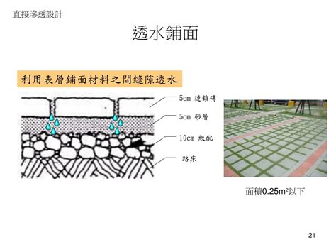 樹穴是什麼|綠化、基地保水、綠建 材設計技術規範解說